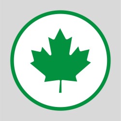 Naklejka Zielony listek