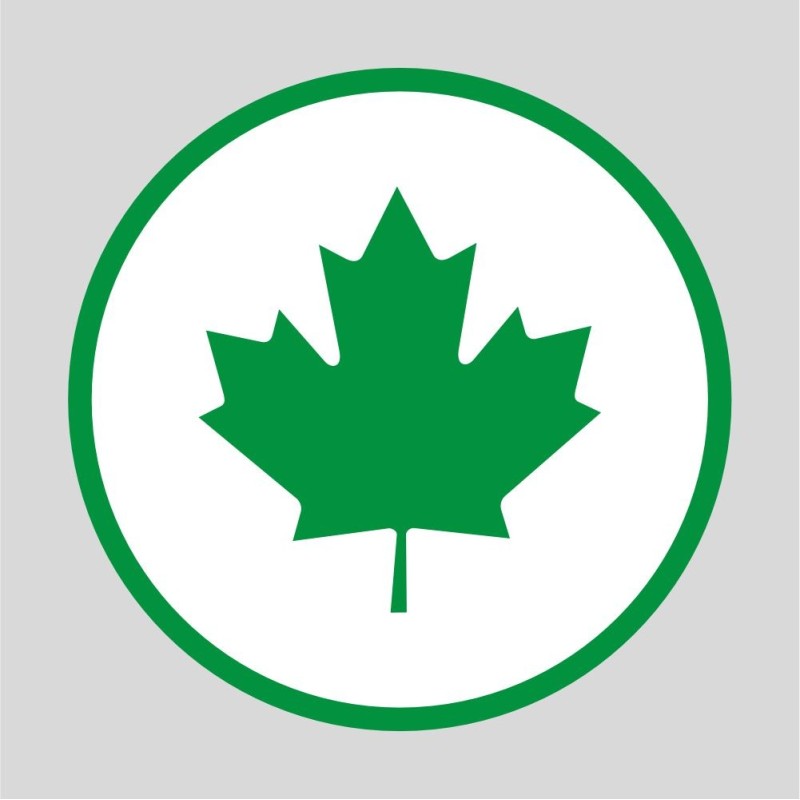 Naklejka Zielony listek